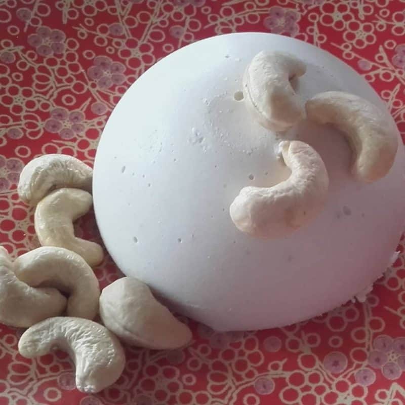 La marmite végétale fromages vegetaux vegan dôme