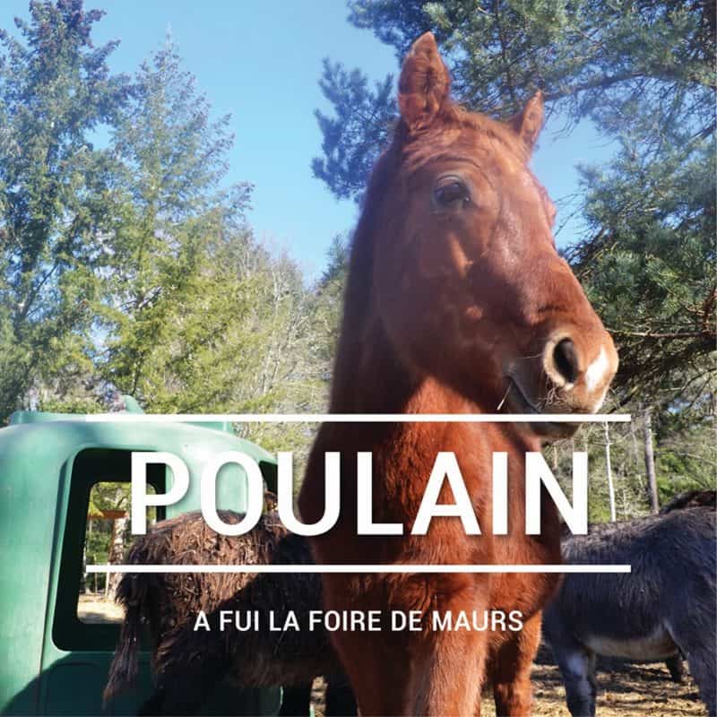 Le Vernou sanctuaire animalier b&#038;b vegan woofing la poulain sauvetage