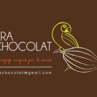 Ara Chocolat