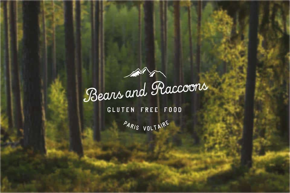 Bears & raccoons