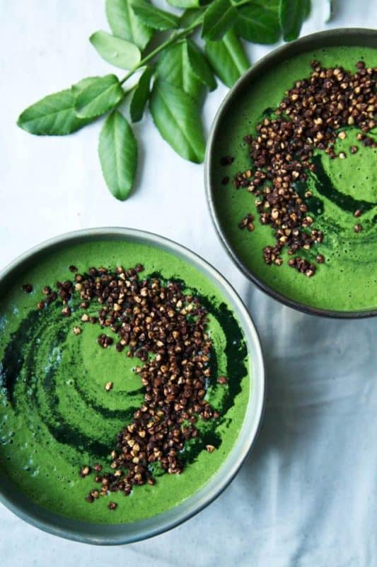 Dose traiteur végétal bio vegan bordeaux smoothie