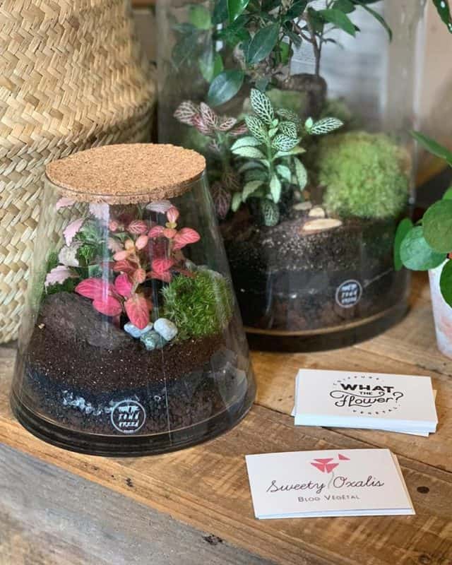 What the flower coiffeur vegetal vegan fleurs Paris