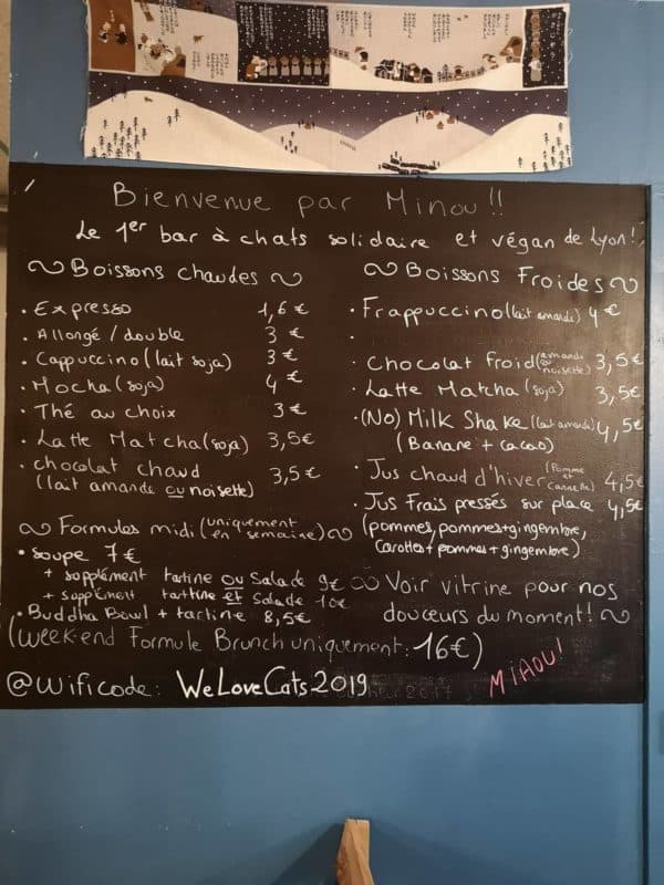 Au bonheur des chats &#8211; Neko café solidaire végétalien vegan Lyon (8)