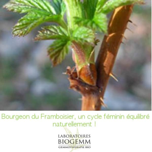 Laboratoire biogemm vegan cruelty free bourgeons du framboisier