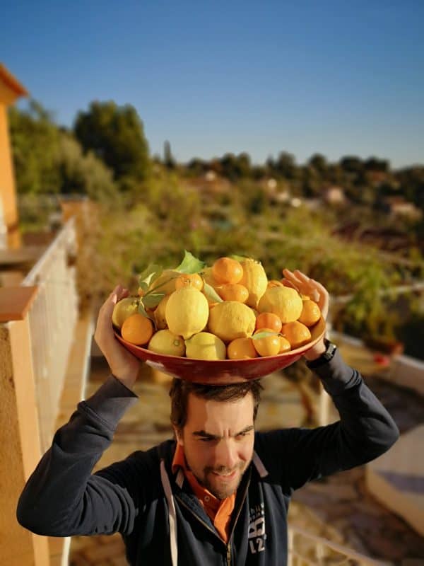 Citrons et oranges de Provence