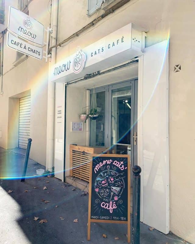 Meow cats cafe aix en provence devanture